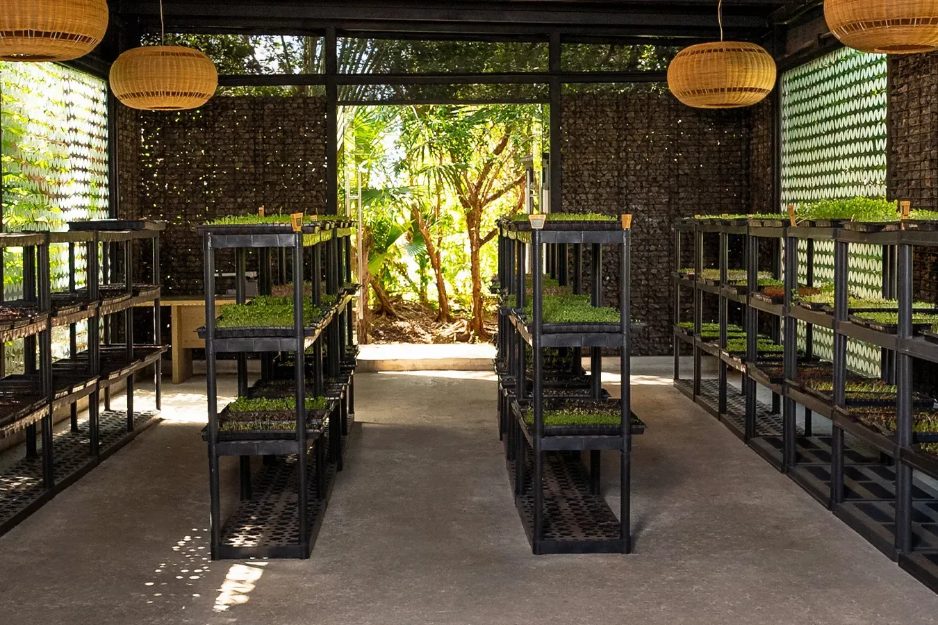 Picture of Eco-friendly practices for the environmentally conscious